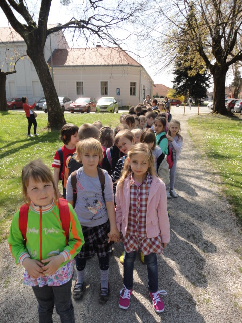 Mala zelena gusjenica za Vrapčiće