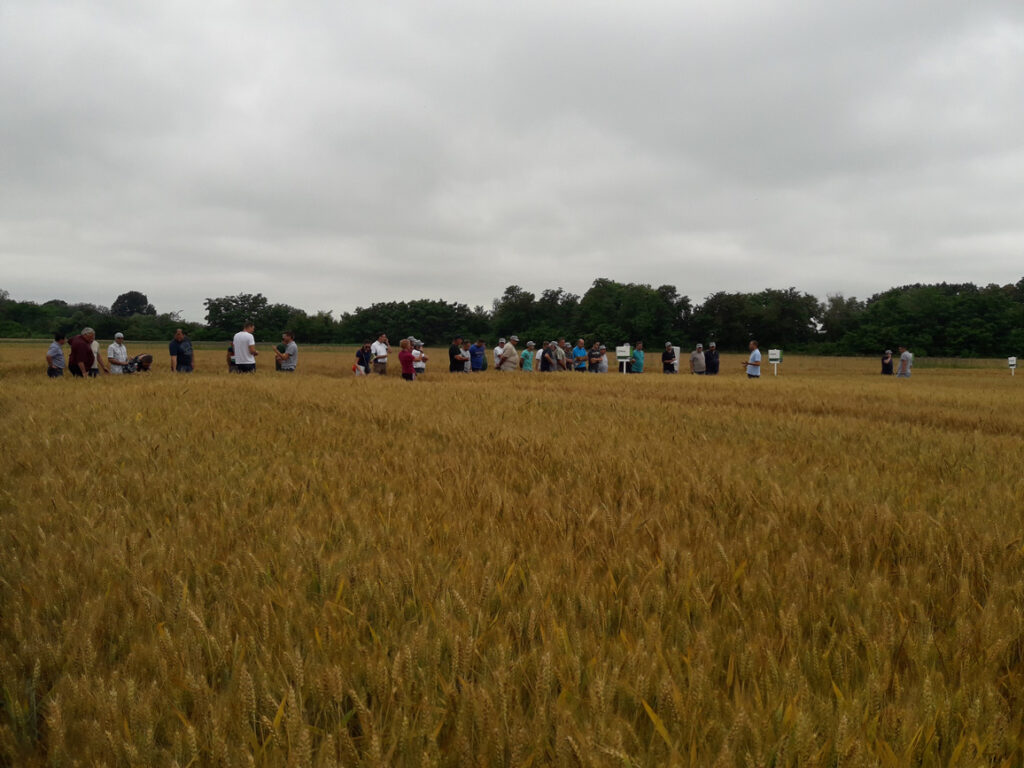 Održana radionica zaštitarske tvrtke Syngenta na Bregovskim poljima