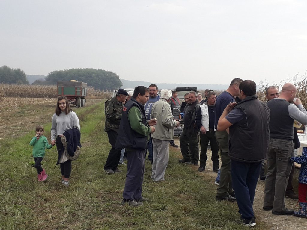 Dani polja u Koprivničkim Bregima